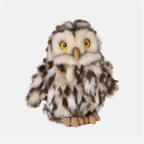 Owl witch plush toy